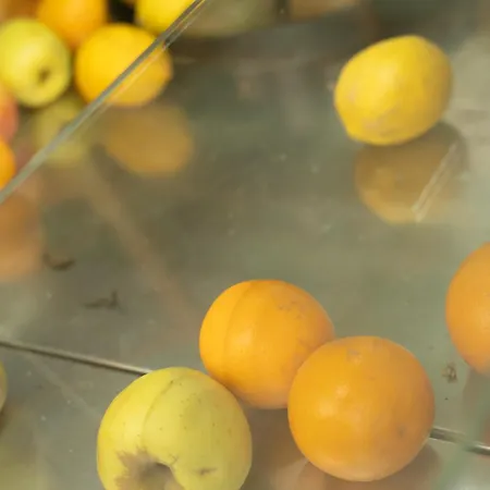 Σπίτι διακοπών Daria's Παλέρμο